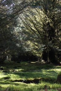 Spring Equinox on Mull